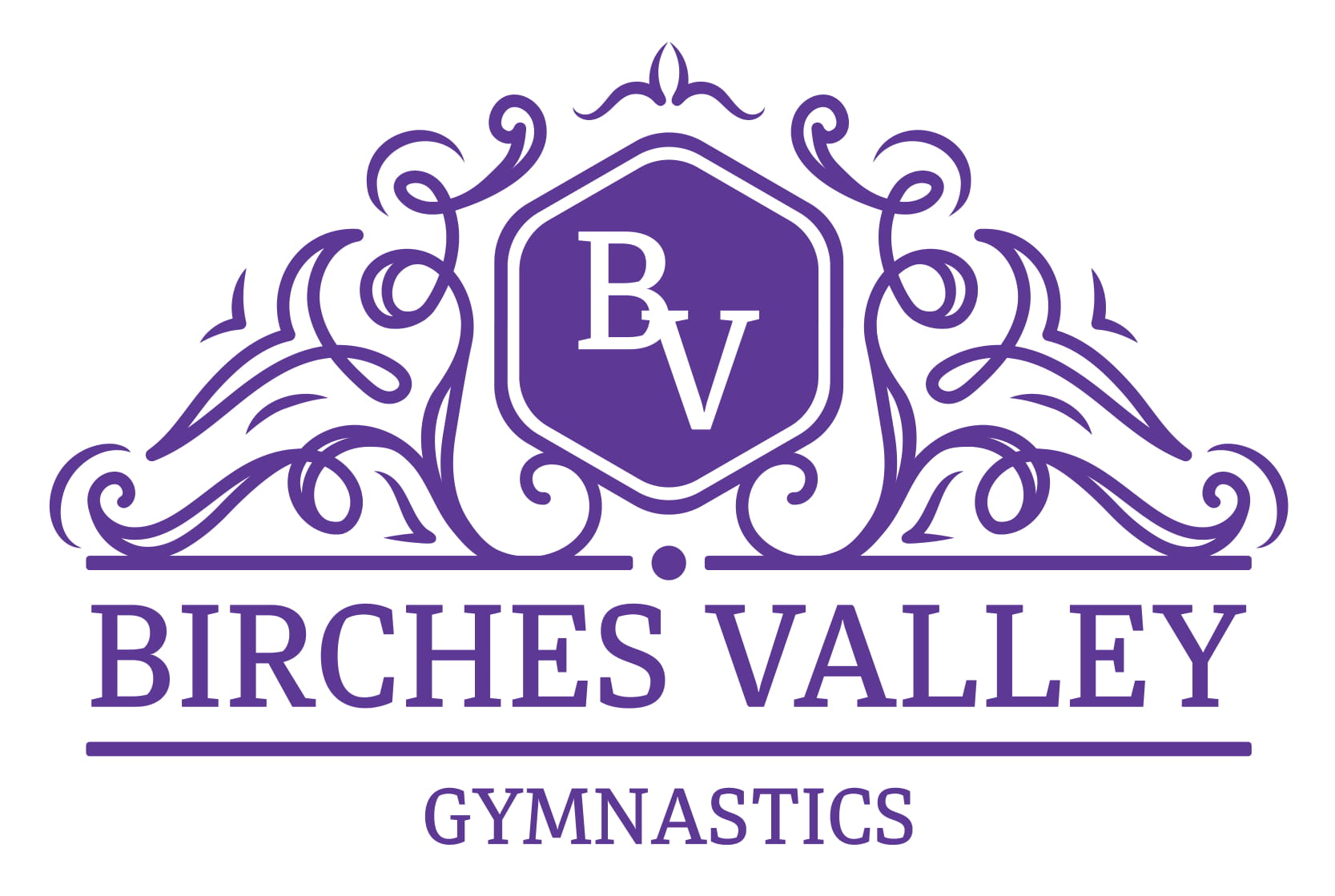Birches Valley Gymnastics Club